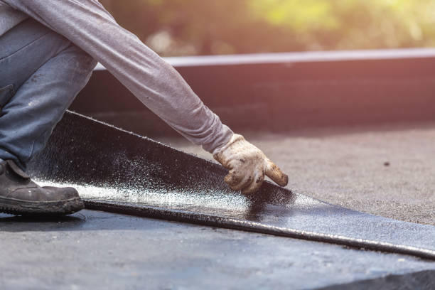 Wet basement repair process in Burlington, MI